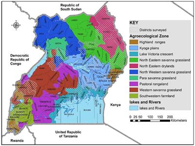 Distribution of Bemisia tabaci in different agro-ecological regions in Uganda and the threat of vector-borne pandemics into new cassava growing areas